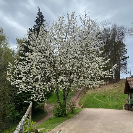 Appartement Haus Edith